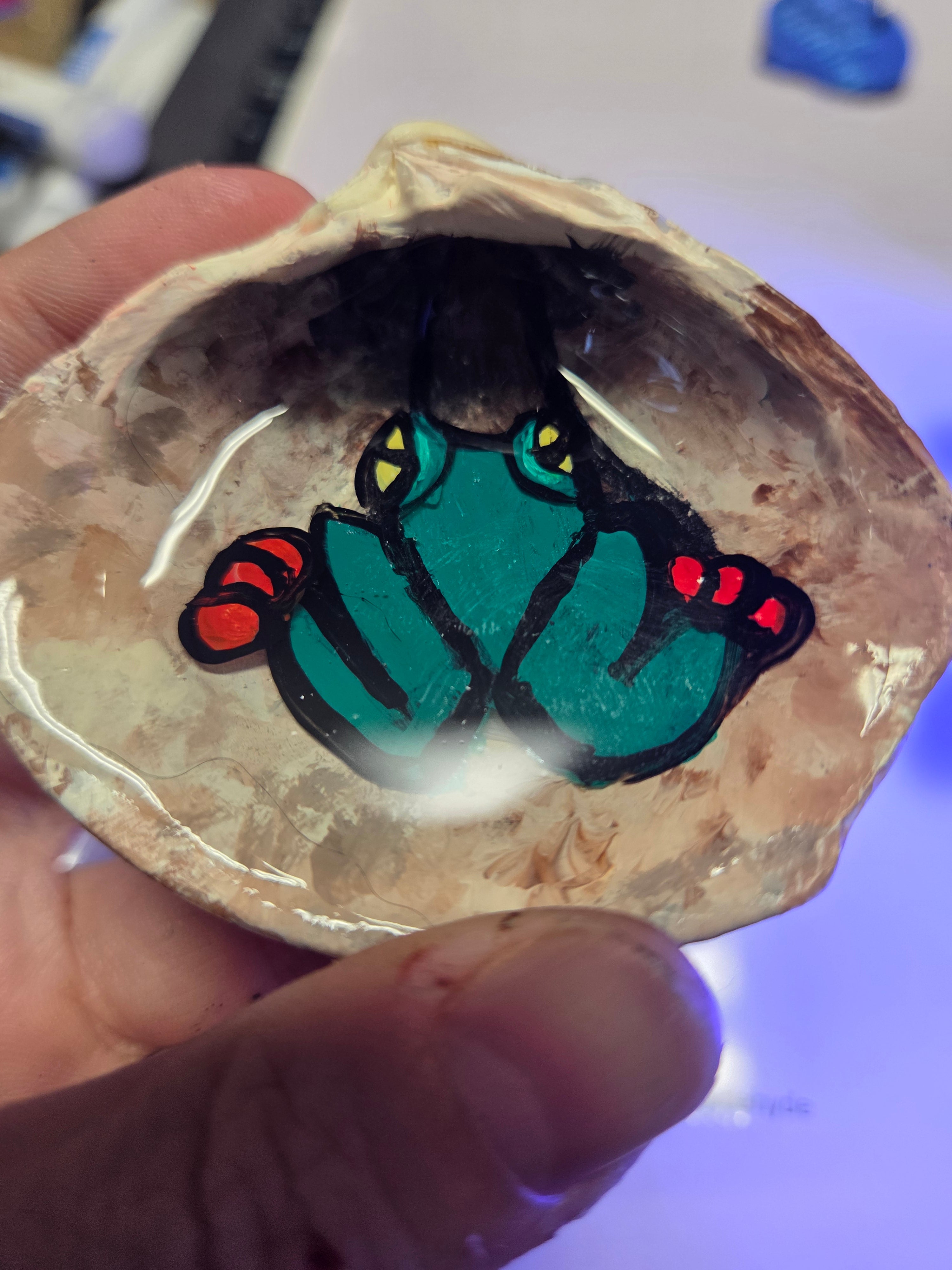 Frog on a log sea shell