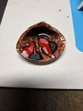 Swimming gold fish in sea shell.